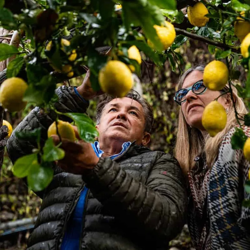 limone
